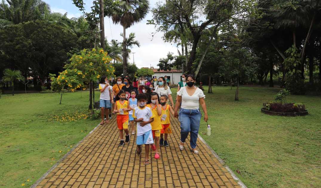grupo de crianças caminha no zoológico